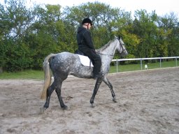 LF HSC - 0951_web